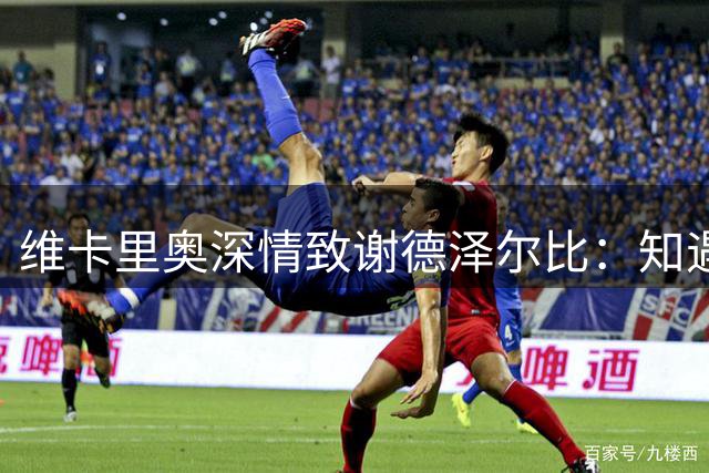 维卡里奥深情致谢德泽尔比：知遇之恩永难忘