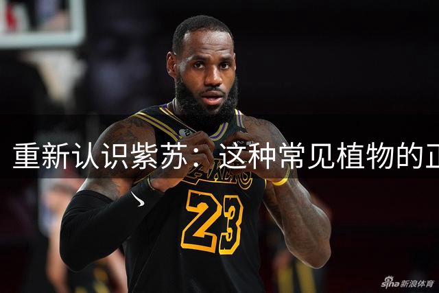 重新认识紫苏：这种常见植物的正确使用指南